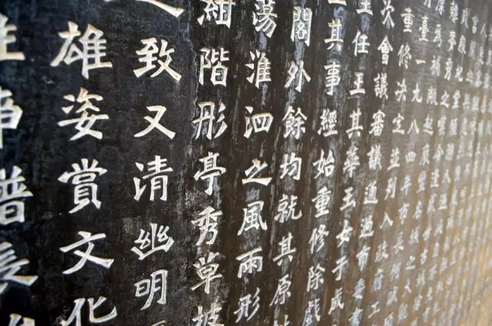 Hieroglyphen (40 Fotos): Chinesische Schriftzeichen des Glücks, viel Glück, Liebe und Reichtum. Wie gewinnen Sie Gesundheit und Geld in der Familie? 8261_2
