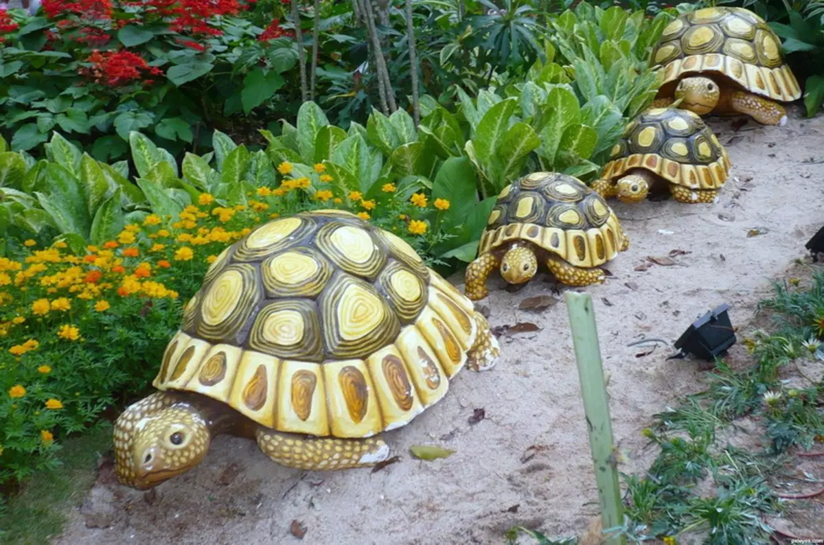 Turtle-wearde: Wat dogge de maskotten en sieraden mei in skildpadich symbolisearje? Hokker figueren skildpadden betsjutte Fengshui? 8284_16