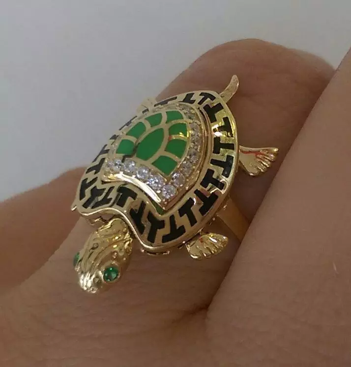 Turtle-wearde: Wat dogge de maskotten en sieraden mei in skildpadich symbolisearje? Hokker figueren skildpadden betsjutte Fengshui? 8284_22