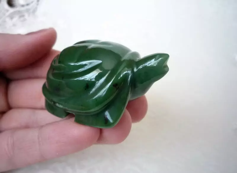 Turtle dəyər bir tısbağa rəmzi ilə maskot və zərgərlik nə? Nə bağa Fengshui demək rəqəmlər? 8284_28