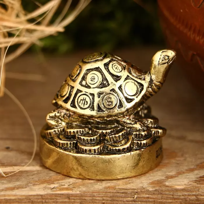 Turtle vērtība: Ko simbolizē taletes un rotaslietas ar bruņurupučiem? Kādi skaitļi bruņurupuči nozīmē fengshui? 8284_31