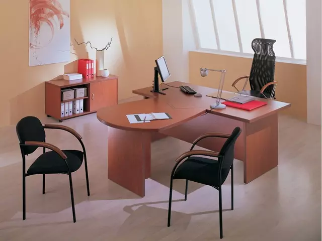 Fengshui Workplace (23 photos): Conseils pour concevoir des tables pour travailler dans le bureau, peintures au bureau pour attirer de l'argent, la porte de la porte et la couleur murale 8288_3