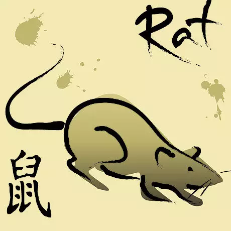 2020 ano de qual animal? 29 Descrição da foto do símbolo do próximo ano no calendário chinês (oriental). Como conhecer o ano de rato? 8317_3