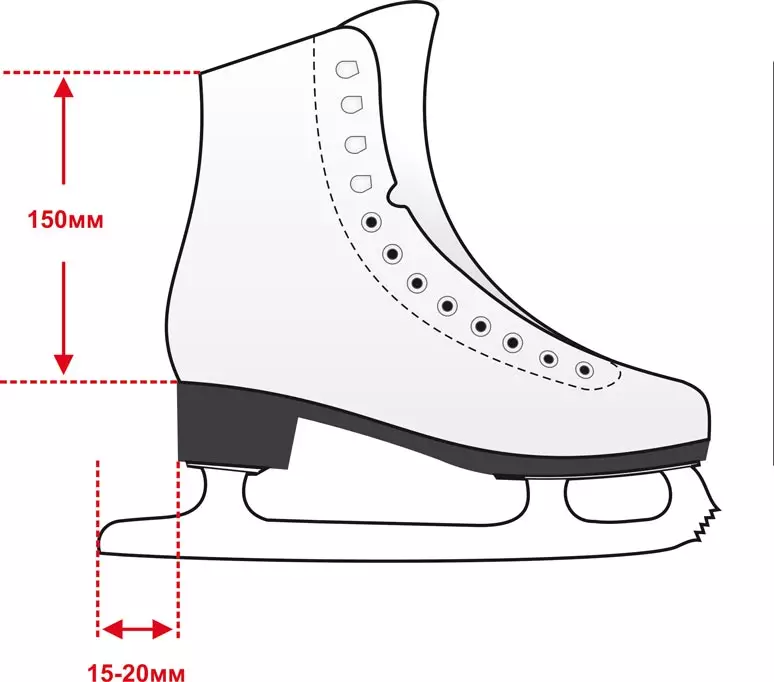 花樣滑冰（49張）：女性和男士，黑色和白色的冰鞋。什麼是與普通冰鞋不同的東西以及如何選擇它們？方面 8390_14