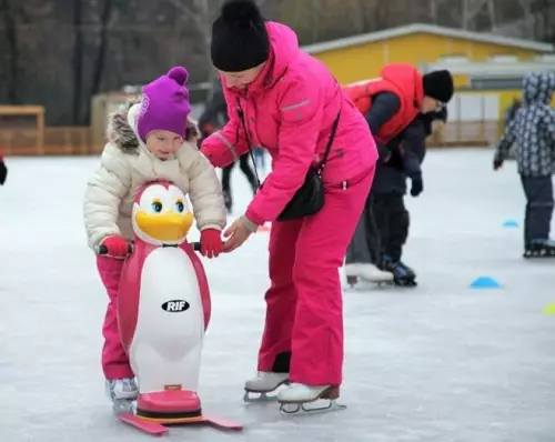 滑冰的支持：儿童的“企鹅”用于培训和代表成人，为初学者提供尺寸的滑板 8397_11