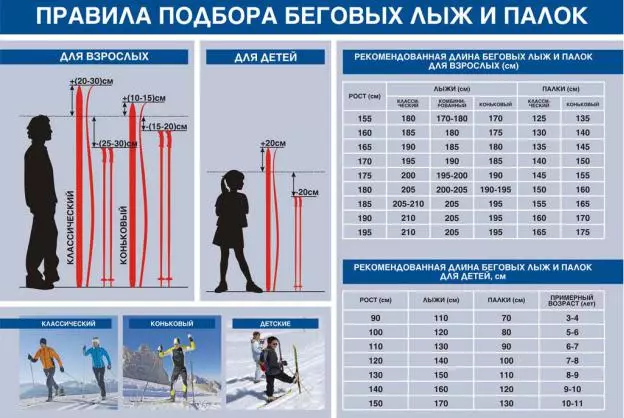 Hoe kieze jo in cross-country ski-stok? Hoe kinne jo in grutte (lingte) kieze foar groei? Regels foar it kiezen fan koalstof- en aluminium ski-stokken, bêste merken 8417_18