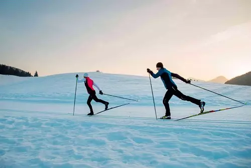 Hoe kies je een langlaufstick? Hoe kiest u maat (lengte) voor groei? Regels voor het kiezen van koolstof- en aluminium ski-sticks, beste merken 8417_19