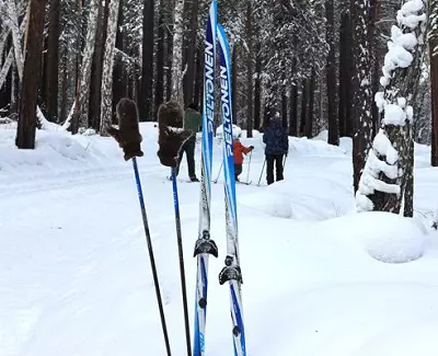 Wéi wielen Dir e Kräiz-Land Ski Stick? Wéi wielen d'Gréisst (Längt) fir Wuesstum? D'Regelen fir de Kuelestoff ze wielen an Aluminichspichs, déi bescht Marken 8417_3