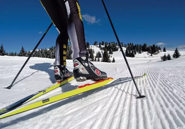 Dimensões de esqui: Como escolher um comprimento de um adulto e o que deveria ser? Como escolher o tamanho para crianças? Que largura está esquiando? 8424_16