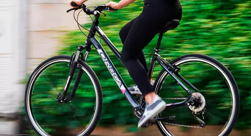 Задоволство велосипеди: за мажи и жени, за одење низ шумата и околу градот со дете и без. Како да изберете? Рејтинг на најдобрите модели 8440_14