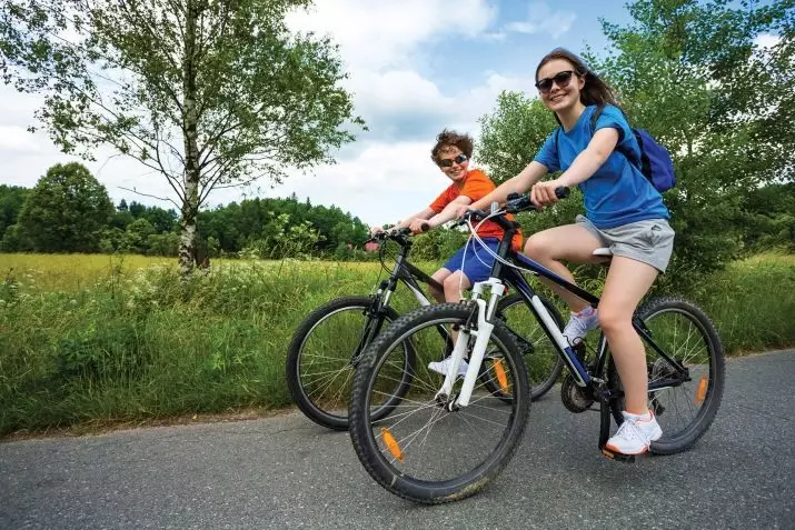 Poilsiniai dviračiai: vyrams ir moterims, vaikščioti per mišką ir aplink miestą su vaiku ir be. Kaip pasirinkti? Įvertinimas geriausius modelius 8440_21