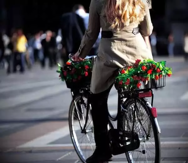 Öröm kerékpárok: férfiak és nők számára, az erdőkben és a város körül, gyermekekkel és anélkül. Hogyan válasszunk? A legjobb modellek értékelése 8440_6
