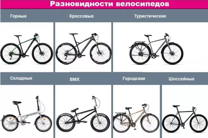 Làm thế nào để chọn một chiếc xe đạp để tăng trưởng và cân nặng? Làm thế nào để làm một người đàn ông chọn một chiếc xe đạp leo núi lớn lớn? Rostovka cho các mô hình hai cuộc sống 8441_11