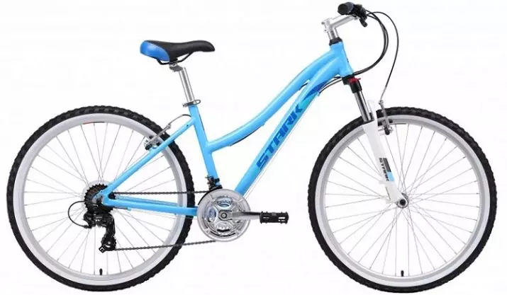 ველოსიპედის ზომები: სიგრძე, ველოსიპედის ზომები ყუთში, 26 სანტიმეტრი და 29 სანტიმეტრი. რა არის საშუალო ველოსიპედის საშუალო სიგრძე? 8448_10