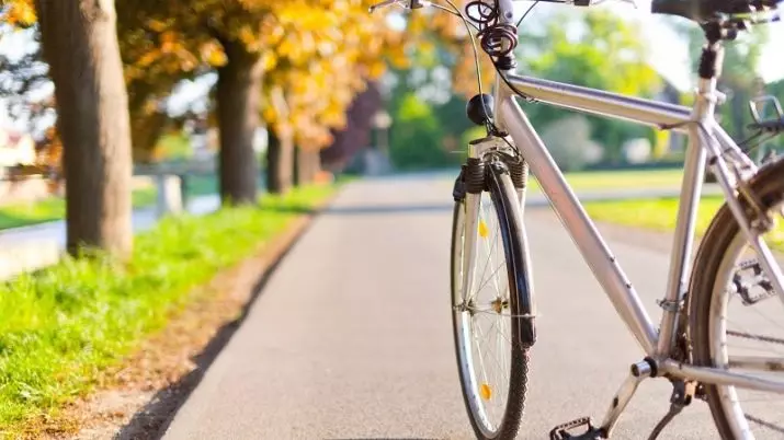 ველოსიპედის ზომები: სიგრძე, ველოსიპედის ზომები ყუთში, 26 სანტიმეტრი და 29 სანტიმეტრი. რა არის საშუალო ველოსიპედის საშუალო სიგრძე? 8448_2