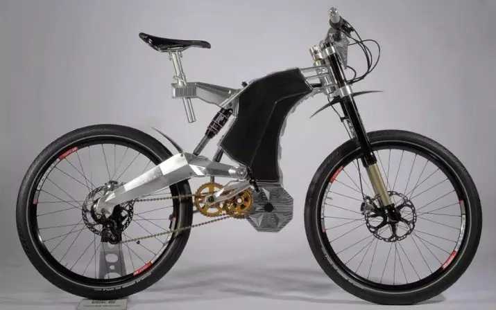 Die vinnigste fiets in die wêreld: watter fiets sonder 'n motor gaan vinniger as almal? 8455_13
