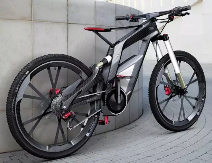 Die vinnigste fiets in die wêreld: watter fiets sonder 'n motor gaan vinniger as almal? 8455_15