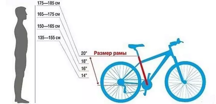 Bicicletas para adultos (34 fotos): ¿Cómo elegir? Tamaño y peso de modelos de luz, longitud y otras dimensiones de bicicletas con bicicletas troncales, ordinarias y pequeñas para adultos. 8456_10