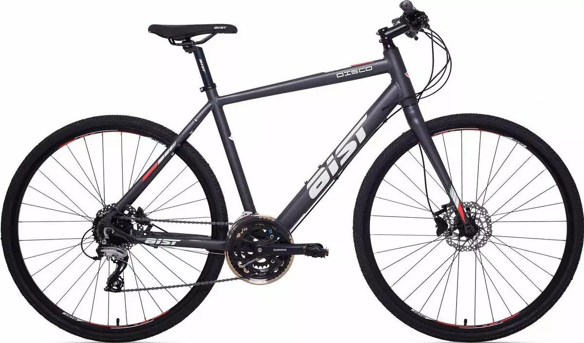 성인용 자전거 (34 사진) : 선택하는 방법? 성인을위한 트렁크, 보통 및 작은 자전거가있는 빛 모델, 길이 및 기타 자전거의 크기 및 무게 8456_18