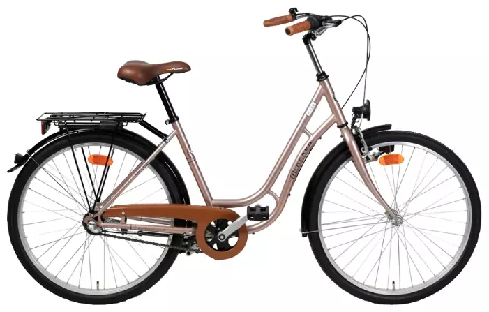 성인용 자전거 (34 사진) : 선택하는 방법? 성인을위한 트렁크, 보통 및 작은 자전거가있는 빛 모델, 길이 및 기타 자전거의 크기 및 무게 8456_21