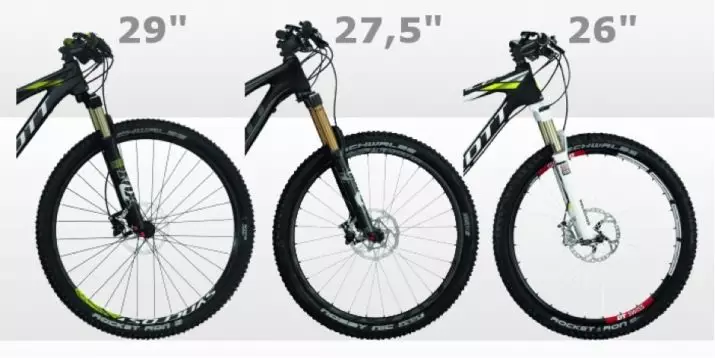 성인용 자전거 (34 사진) : 선택하는 방법? 성인을위한 트렁크, 보통 및 작은 자전거가있는 빛 모델, 길이 및 기타 자전거의 크기 및 무게 8456_9