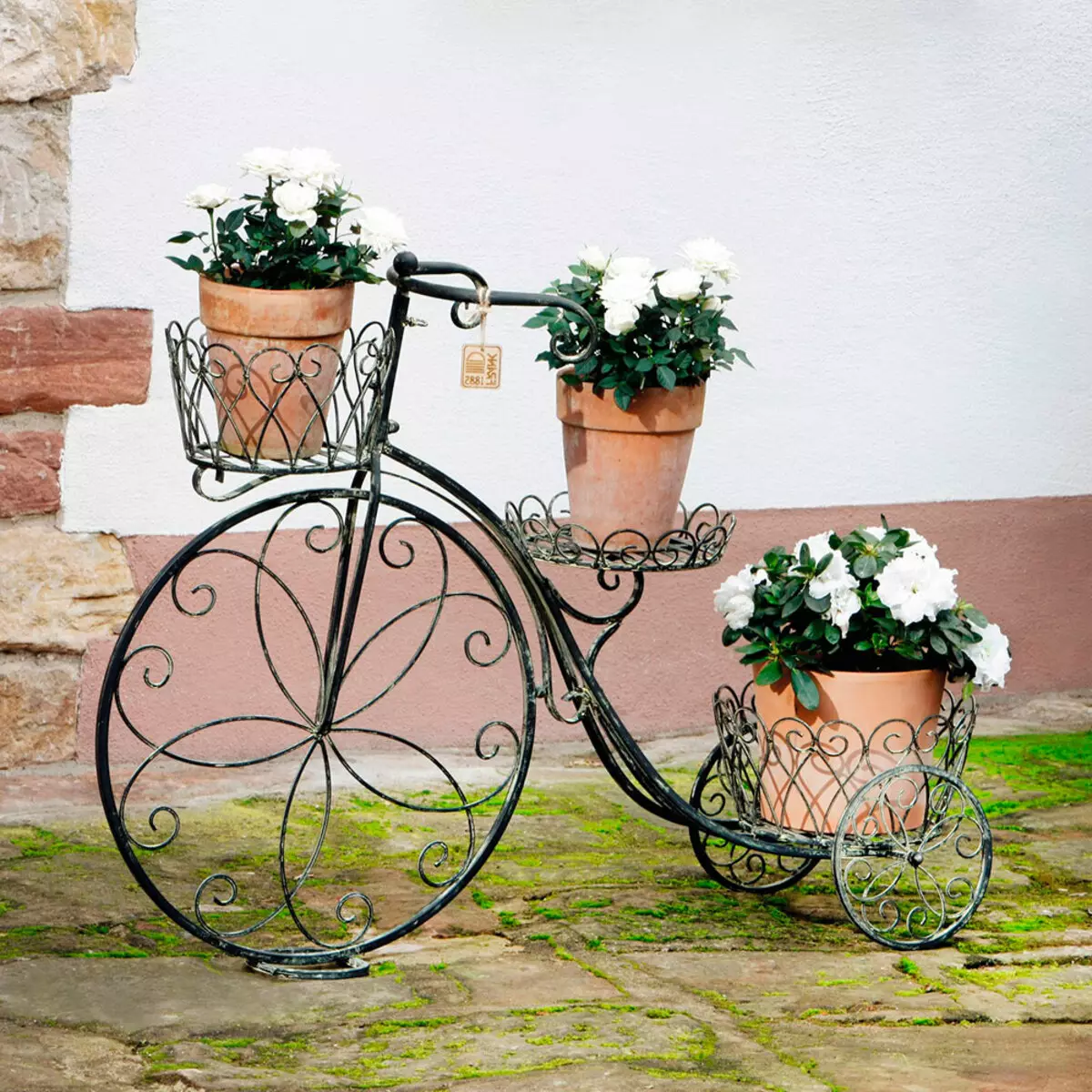 Stand-bicikl za cvijeće: kovane modela i kakao bicikli, pod dekorativne flowerhouse, drvene i drugi cvijet bicikle 8458_17