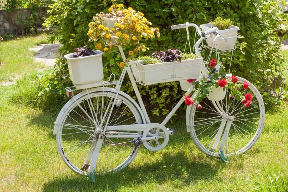 Stand-bike para flores: modelos forjados y bicicletas de cacao, flores decorativas del piso, madera y otras bicicletas de flores 8458_22