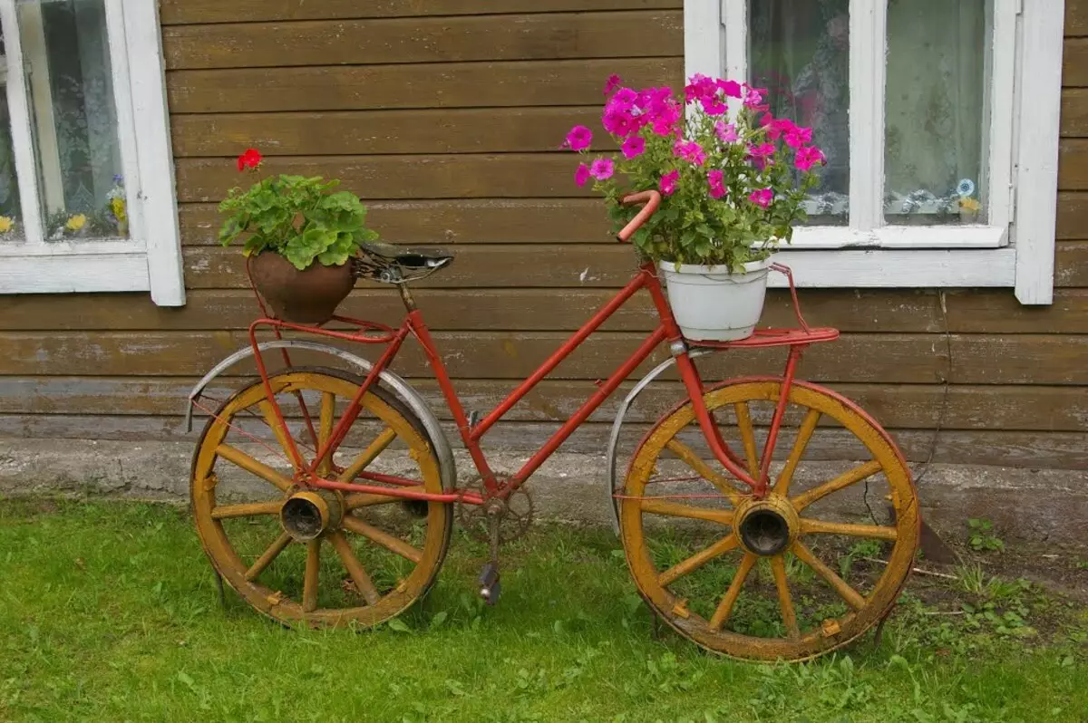Bike-Bike kanggo kembang: Model sing wis dipasrahake lan sepedha cocoa, kembang hiasan lantai, kayu lan sepeda kembang liyane 8458_24