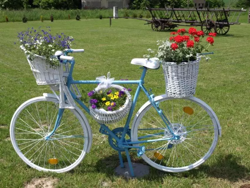 Stand-мотор за цветя: ковани модели и какаови велосипеди, етаж декоративна flowerhouse, дървени и други цветни колела 8458_26