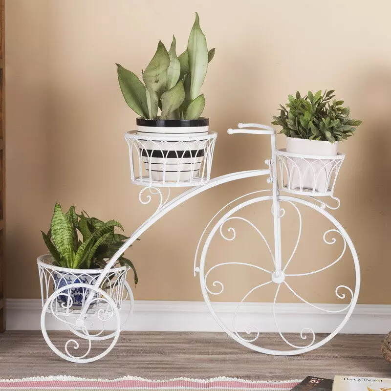 Stendas dviratis už gėlių: suklastotus modelius ir kakavos dviračius, grindų dekoratyvinį gėlių namus, medinius ir kitus gėlių dviračius 8458_28