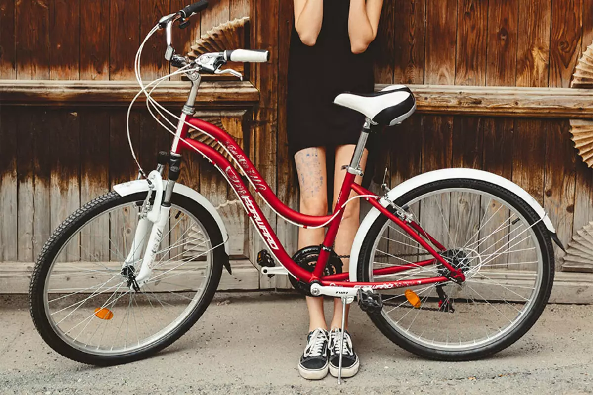 Ngjyra e biçikletave: rozë e bardhë, e verdhë dhe e zezë, ngjyrë blu dhe portokalli, jeshile dhe hije të tjera. Si të zgjidhni një ngjyrë biçikletë? 8466_10
