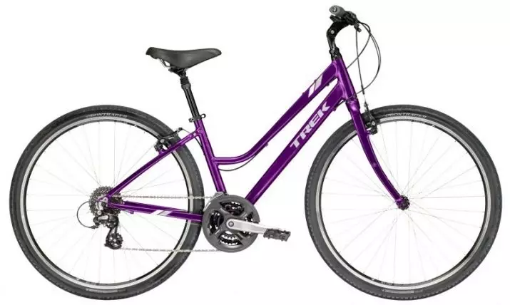Ngjyra e biçikletave: rozë e bardhë, e verdhë dhe e zezë, ngjyrë blu dhe portokalli, jeshile dhe hije të tjera. Si të zgjidhni një ngjyrë biçikletë? 8466_18
