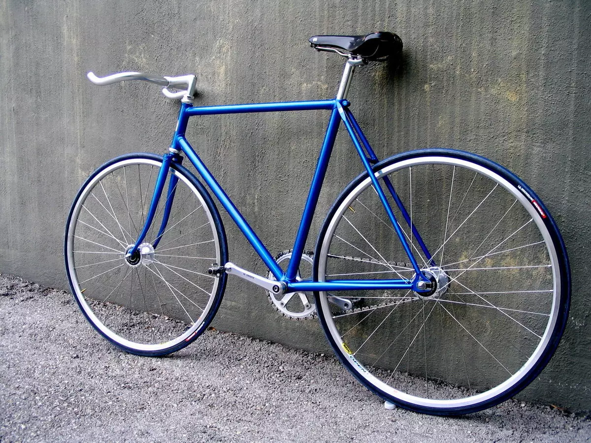 Ngjyra e biçikletave: rozë e bardhë, e verdhë dhe e zezë, ngjyrë blu dhe portokalli, jeshile dhe hije të tjera. Si të zgjidhni një ngjyrë biçikletë? 8466_5
