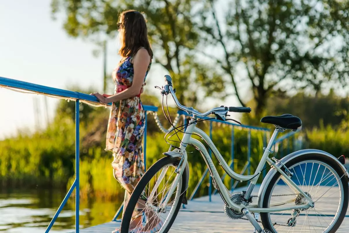 Ngjyra e biçikletave: rozë e bardhë, e verdhë dhe e zezë, ngjyrë blu dhe portokalli, jeshile dhe hije të tjera. Si të zgjidhni një ngjyrë biçikletë? 8466_9