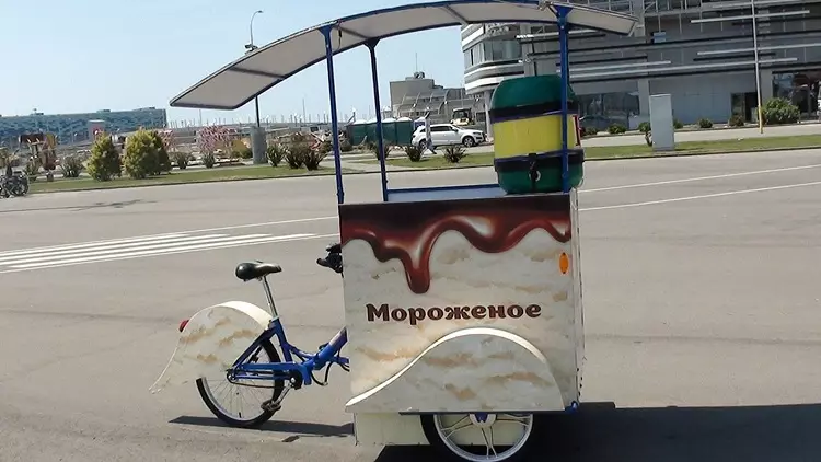 Veloriksha (17 Ritratti): Rickshaw Rickshaw Roti bl-elettriku u bil-mutur, Velaik elettriku bi friġġ 8468_9