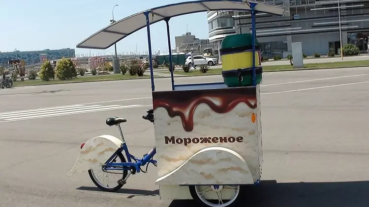 VELORIKSHA (17 fotiek): Rikshaw Rikshaw Bicykle s elektrickým a motorom, Electric Velaik s chladničkou 8468_9