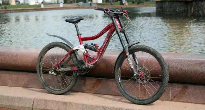 Bisiklet için kanatlar (72 fotoğraf): Karayolu ve diğer bisikletler için arka ve ön bisiklet kanatlarını seçin 8469_18