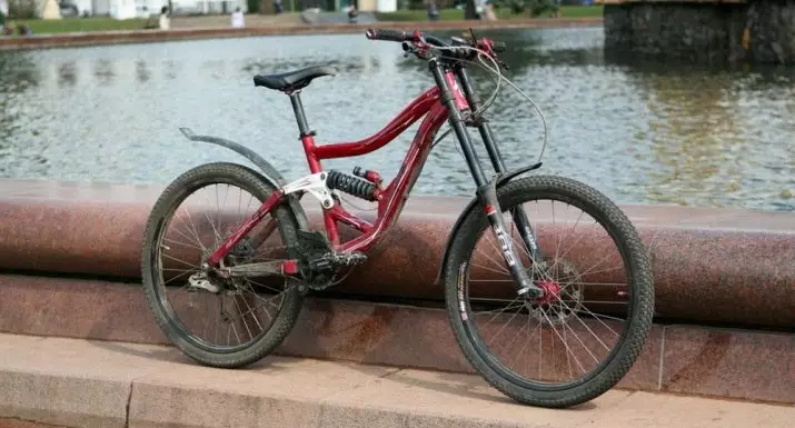 Asas para bicicleta (72 fotos): selecione as asas de bicicleta traseira e dianteira para rodovia e outras bicicletas 8469_18