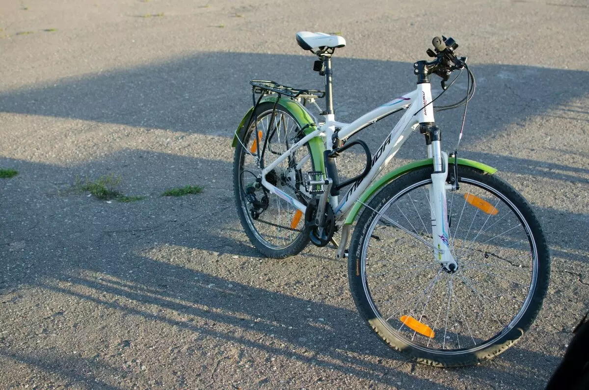 Bike tiibad (72 fotot): valige maantee ja teiste jalgrattade taga ja eesmise jalgratta tiibad 8469_29