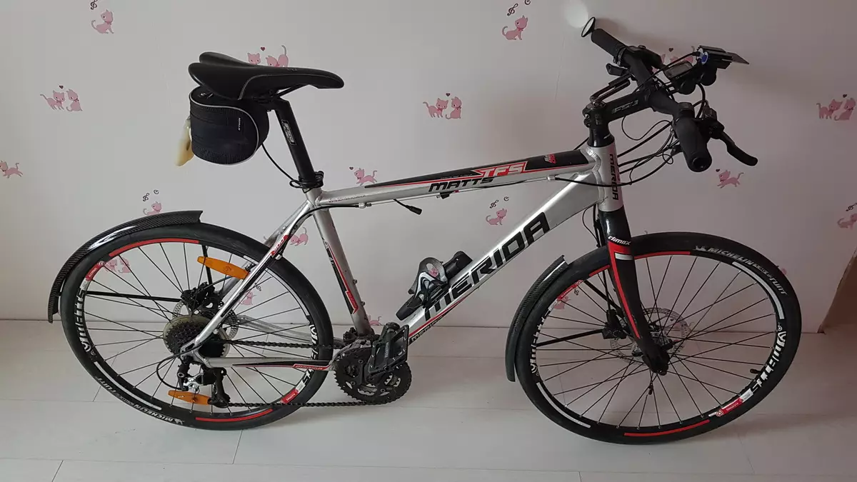 Mapheo a Bike (linepe tse 72): Khetha mapheo a ka morao le kapele le ka libaesekele tse ling 8469_44