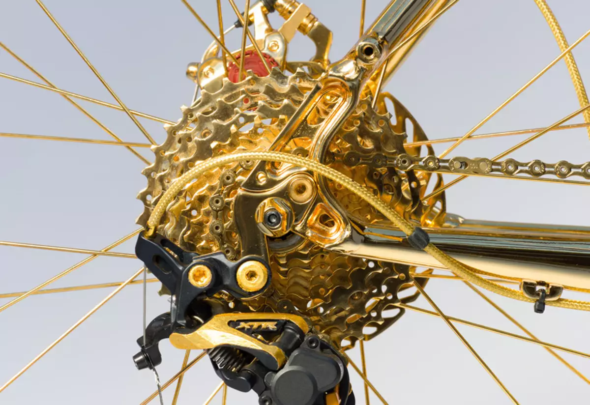 ყველაზე ძვირადღირებული ველოსიპედი მსოფლიოში: ელიტური ექსკლუზიური პრემიუმ მოდელები 500,000, 700,000, 800,000 რუბლი და 1 მილიონი 8472_18