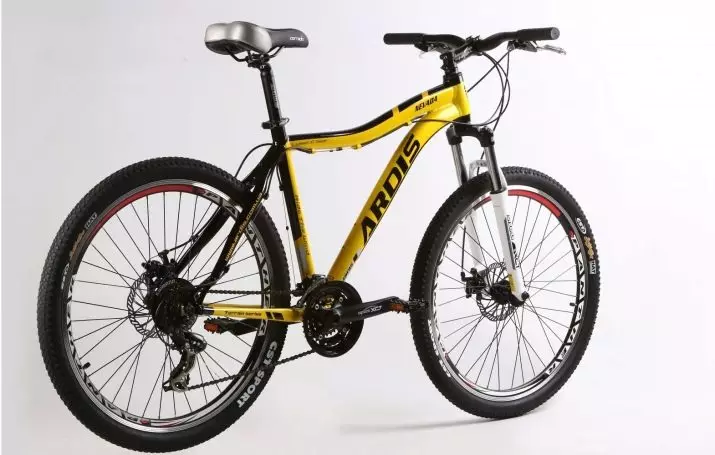Велосипеди з мотором (29 фото): триколісні складні та інші моторні дорослі велосипеди, їх характеристики 8478_24