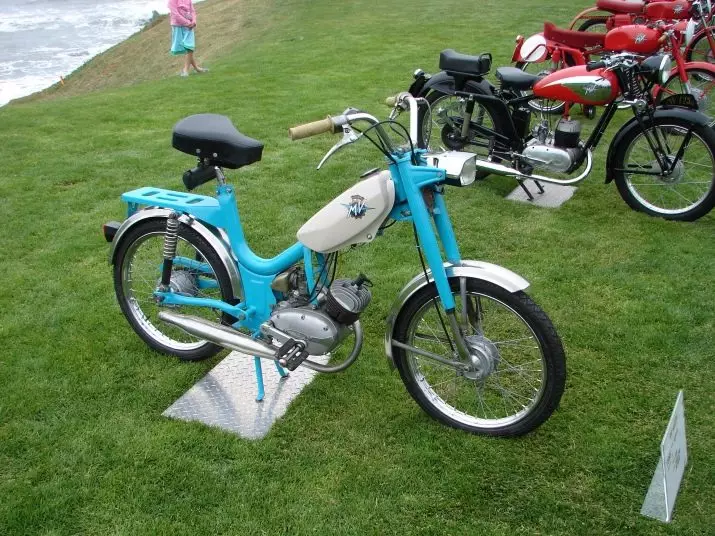 Велосипеди з мотором (29 фото): триколісні складні та інші моторні дорослі велосипеди, їх характеристики 8478_4