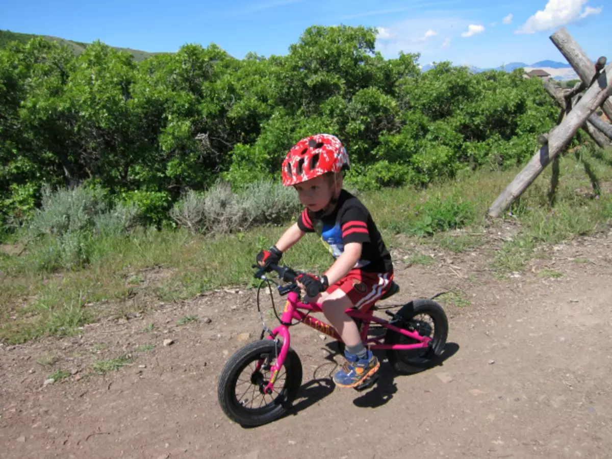 Bicicletas infantís de 3 anos: clasificación dos mellores modelos para un neno e nenas? Revisión de triciclos lixeiros e bicicletas de dúas rodas para un neno 8486_3