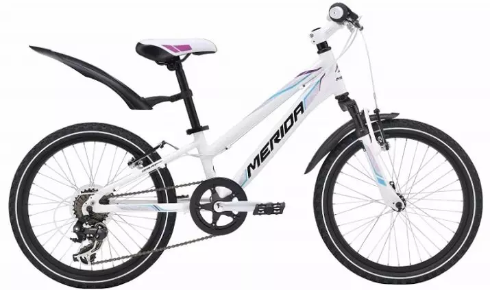Bicicletas de alta velocidade para meninas (23 fotos): Como escolher uma bicicleta para uma menina de 9 a 12 anos? Características de bicicletas com velocidades para adolescentes de 14 anos 8489_10