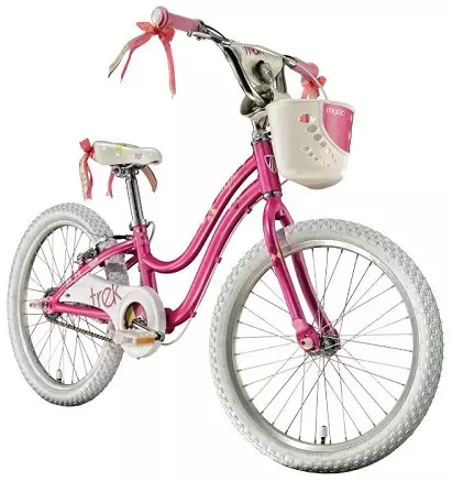女の子のための高速バイク（23写真）：9から12年の女の子のための自転車を選ぶ方法は？ 14年の青年期の女の子のためのスピード付き自転車の特徴 8489_11
