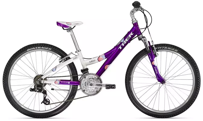 女の子のための高速バイク（23写真）：9から12年の女の子のための自転車を選ぶ方法は？ 14年の青年期の女の子のためのスピード付き自転車の特徴 8489_12