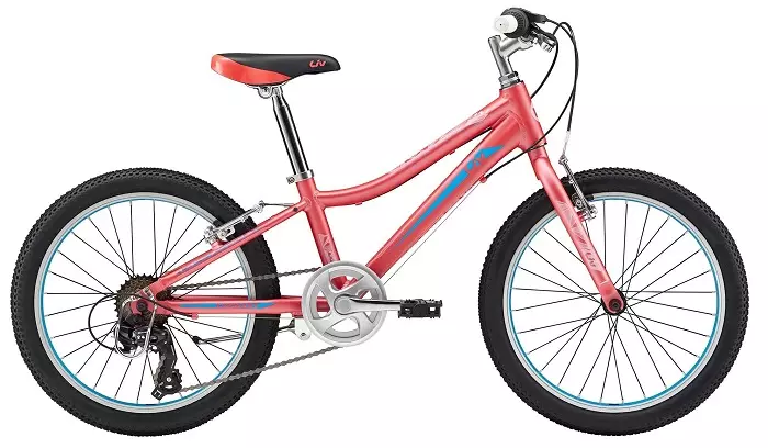 女童高速自行車（23張照片）：如何從9到12年為一個女孩選擇自行車？ 14年來，青少年女孩速度的自行車特點 8489_14