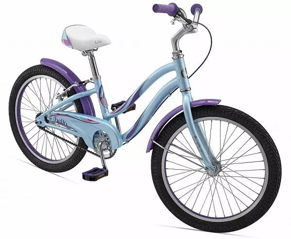 Vysokorychlostní kola pro dívky (23 fotografií): Jak si vybrat kolo pro dívku od 9 do 12 let? Charakteristika jízdních kol s rychlostmi pro dospívající dívky od 14 let 8489_15