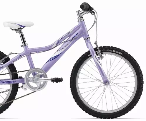 Vélos à grande vitesse pour filles (23 photos): Comment choisir un vélo pour une fille de 9 à 12 ans? Caractéristiques des vélos avec des vitesses pour les adolescentes de 14 ans 8489_18